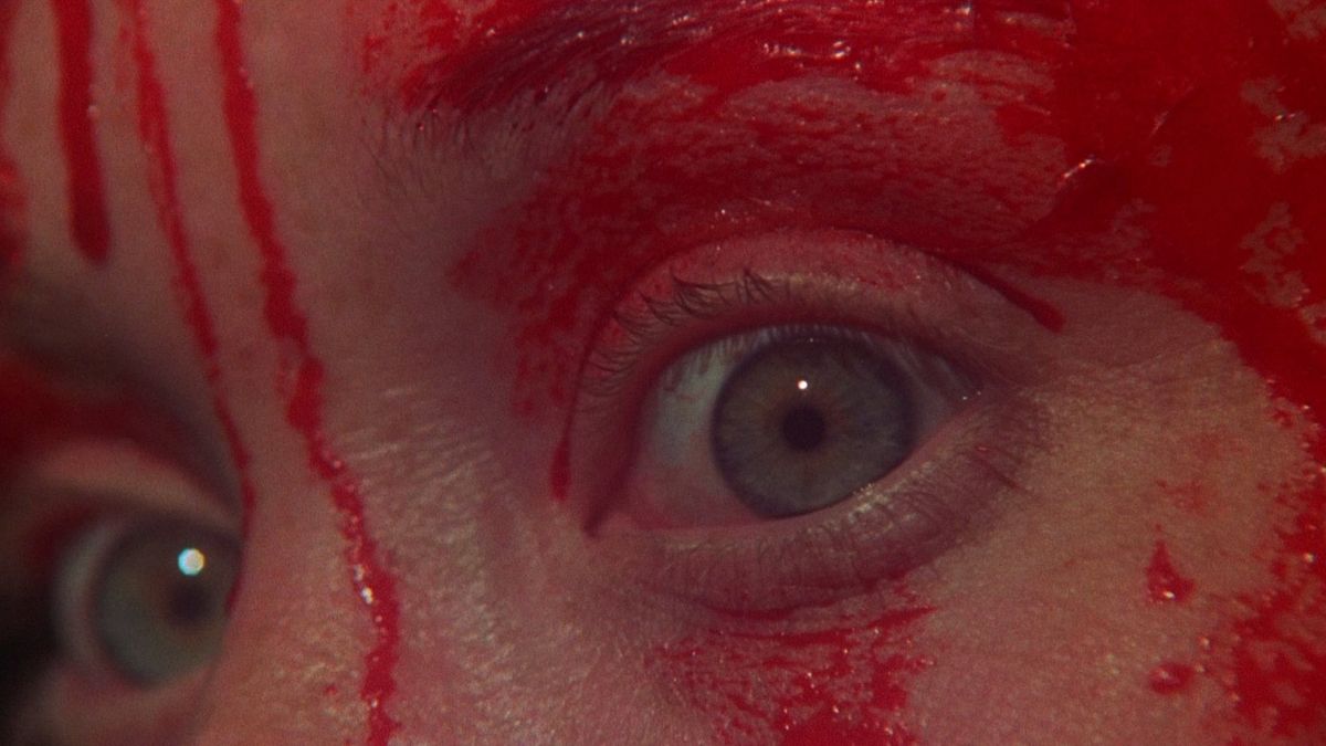 Image for Cuando la sangre toca la tierra: el doble vínculo de la mujer